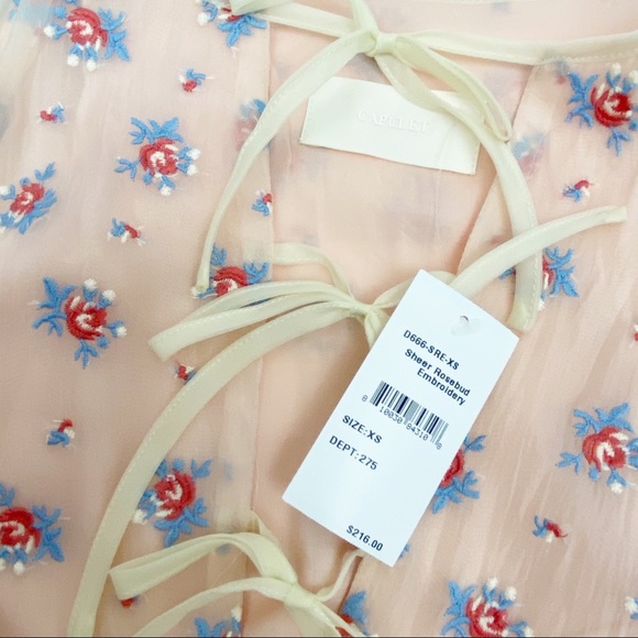 Capulet x Anthropologie Sheer Rosewood Embroidered Prairie Dress Cottagecore - Picture 11 of 14